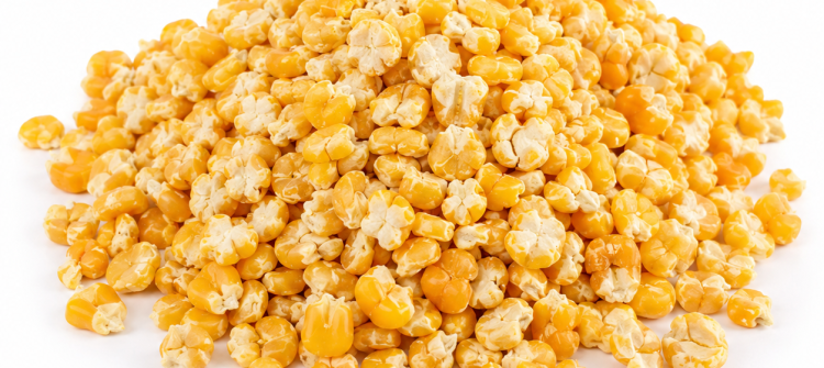 corn horminy feed