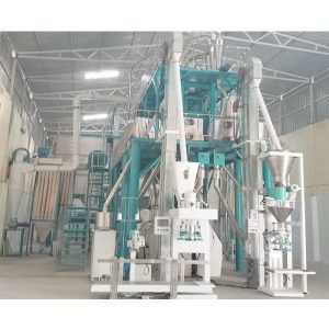 mittal corn 1